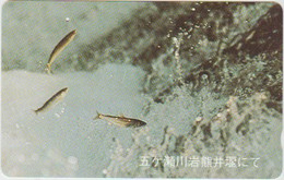 FISH - JAPAN - H050 - 110-011 - Fische