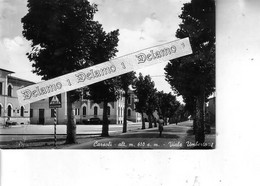 ABRUZZO -- AQUILA E PROV. -- CARSOLI --- Viale Umberto I - Avezzano