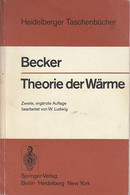 Theorie Der Wärme (Heidelberger Taschenbücher) - Técnico