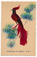 CPA OISEAUX Composition En Plumes De Couleur Souvenir Of Aruba - Oiseaux