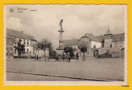 * 29.103 - Borgloon - Looz - Speelhof - Borgloon