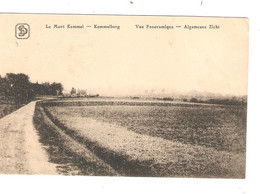 SP60/ CP - PK Le Mont Kemmel - Kemmelberg Vue Panoramique - Algemeene Zicht Utilisée En FELDPOST 1916 - Heuvelland