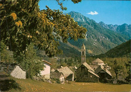 1051817 Sonogno (Valle Verzasca) - Sonogno