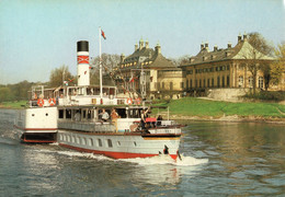 AK Schloß Pillnitz Dampfer Dresden Weiße Flotte Sächsische Dampfschifffahrt A Kleinzschachwitz Hosterwitz Söbrigen DDR - Pillnitz