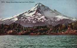 Mount Hood Showing Lost Lake, Oregon - RARE! - Altri & Non Classificati