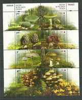 POLAND MNH ** 4286-4289 Champignon Mushroom Pilz - Feuilles Complètes