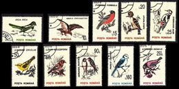 Roumanie / Roemenië / Rumänien / Romania° - Oiseaux / Vogels / Vögel / Birds - Schwalben