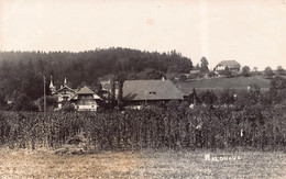 Waldhaus B. Lützelflüh - Lützelflüh