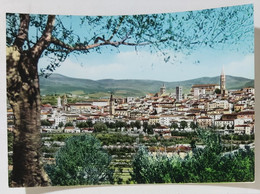 68893 Cartolina - Arezzo - Panorama - Arezzo