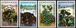 British Indian Ocean Territory 1975 Mi 78-81 Native Plants - Territorio Britannico Dell'Oceano Indiano