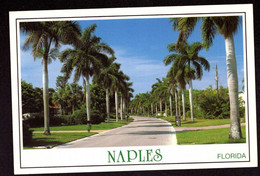 AK 025879 USA - Florida - Naples - Naples