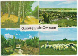 Groeten Uit Ommen - (Overijssel, Nederland) - OMM 377 - Schapen, Boslaan, Lemelerberg - Ommen