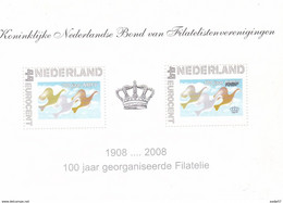 Netherlands Block Mi 2564 Pioneering In The Air - 100 Years NBFV - Birds - Special Collector's Item * * 2008 - Oche