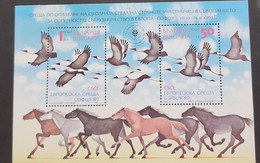 SP) 1989 BULGARIA, EUROPEAN ECOLOGY CONGRESS, BIRDS, GRUS VIPIO, MINISHEET, MNH - Other & Unclassified