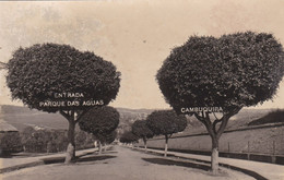 REAL PHOTO POSTCARD - BRASIL - BRAZIL - MINAS GERAIS -  CAMBUQUIRA - ENTRADA DO PARQUE DAS ÁGUAS - Belo Horizonte