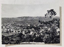 77932 Cartolina - Frosinone - Fiuggi - Panorama - VG 1961 - Frosinone