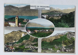 83525 Cartolina - Varese - Saluti Da Musadino Valtravaglia - VG Anni '50 - Varese