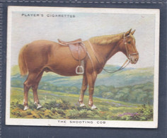 Types Of Horses 1939 - 19 The Shooting Cob  - Original Players Cigarette Card - L Size 6x8cm - Phillips / BDV