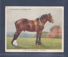 Types Of Horses 1939 - 5 Clydesdale  - Original Players Cigarette Card - L Size 6x8cm - Phillips / BDV