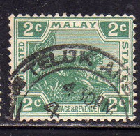 MALAY MALAYA MALAISIE MALESIA FEDERATED STATES 1906 1922 WILD FAUNA TIGER TIGRE CENT. 2c USATO USED OBLITERE' - Fédération De Malaya