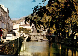 30 / VALLERAUGUE / LE LAC ET LA PROMENADE DES MARRONNIERS - Valleraugue