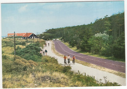 Groeten Van Het Eiland Ameland - De Strandweg Van Nes Naar Zee - (Wadden, Nederland) - L 1357 - Ameland