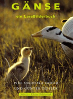 Gänse - Ein LeseBilderbuch - Animals