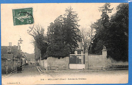 18 - Cher -  Meillant - Entree Du Chateau   (N6830) - Meillant