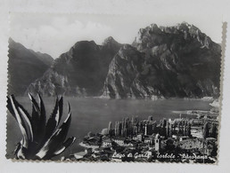 92659 Cartolina - Trento - Torbole - Lago Di Garda Panorama - VG 1955 - Trento