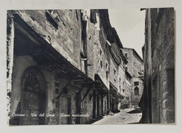 98128 Cartolina - Arezzo - Cortona - Via Del Gesù - Rione Medievale - Arezzo