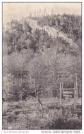 Deer Leap From Long Trail Lodge Of The Green Mountain Club Rutland Vermont Albertype - Rutland