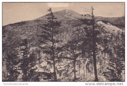 Long Trail Lodge Pico Peak Rutland Vermont Albertype - Rutland