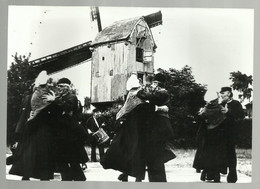 ***  MEERHOUT  ***   -   Zittaartse Molen - Meerhout