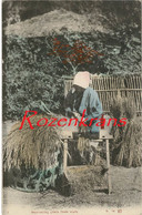 Japon Culture Du Riz Rice Separating Grain From Stalk Nippon Japan Agriculture Paysanne CPA Carte Postale Colorisée - Autres & Non Classés