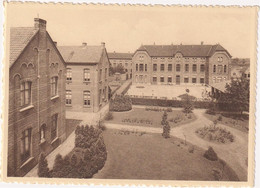 Lovendegem - Zusters Van Liefde - Panorama - Lovendegem