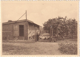 Lovendegem - Zusters Van Liefde - Hoenderhok - Lovendegem