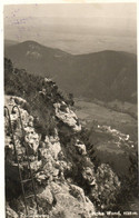 SPRINGELSTEIG - HOHE WAND - REAL PHOTO - F.P - STORIA POSTALE - Wiener Neustadt