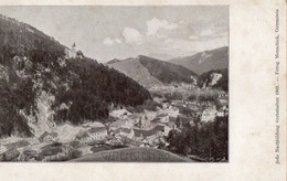 GUTENSTEIN - JEDE NACHBILDUNG VORBEHALTEN 1901 - F.P - STORIA POSTALE - Gutenstein