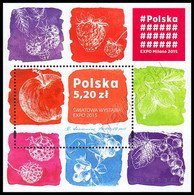 [Q] Polonia / Poland 2015: Foglietto Expo 2015 Milano / Expo 2015 Milan S/S ** - 2015 – Milano (Italia)