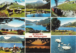 1970, Österreich, Strobl Am Wolfgangsee, St. Wolfgang, Schafberg, Oberösterreich - Strobl