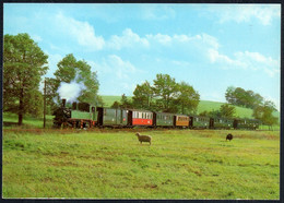 D1730 - TOP Radebeul Radeburg Eisenbahn Dampflok Wiesental Promnitz - Verlag Bild Und Heimat Reichenbach - Radebeul