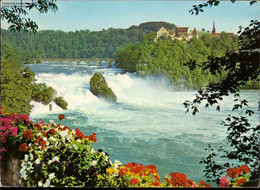 1083505  Rheinfall Mit Schloss Laufen - Laufen-Uhwiesen 