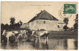 1908 ORGELET - Carte Animée Sur L'ETANG D'ECOLE - Orgelet