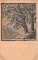 03472 "PIANTA CASTANEA SATIVA- N.R. 1923 - 2801 - CASTAGNO"  PAESAGGIO. CART NON SPED - Arbres