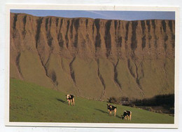 AK 028949 IRELAND - Ben Bulben - Sligo