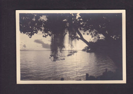 CPA Tahiti Océanie Océania Polynésie Carte Photo René Moreau RPPC Non Circulé Paul Isaac Nordmann - Tahiti