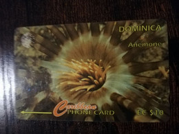 DOMINICA / $10,- GPT CARD  7CDMI    ANEMONE  Fine Used Card  ** 6869 ** - Dominique