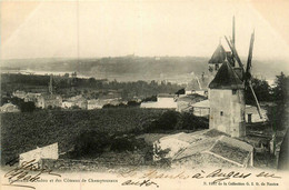 Champtoceaux * Panorama D'oudon Et Des Côteaux De La Ville * Moulins à Vent * Molen - Champtoceaux