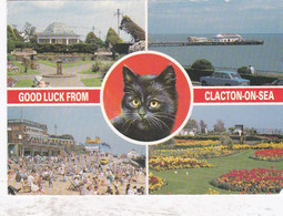 Good Luck From Clacton On Sea Multiview - Used  Postcard - Essex - Stamped 1995 - Clacton On Sea