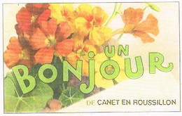 66 UN BONJOUR  DE  CANET EN ROUSSILLON   CPM  TBE 353 - Canet En Roussillon